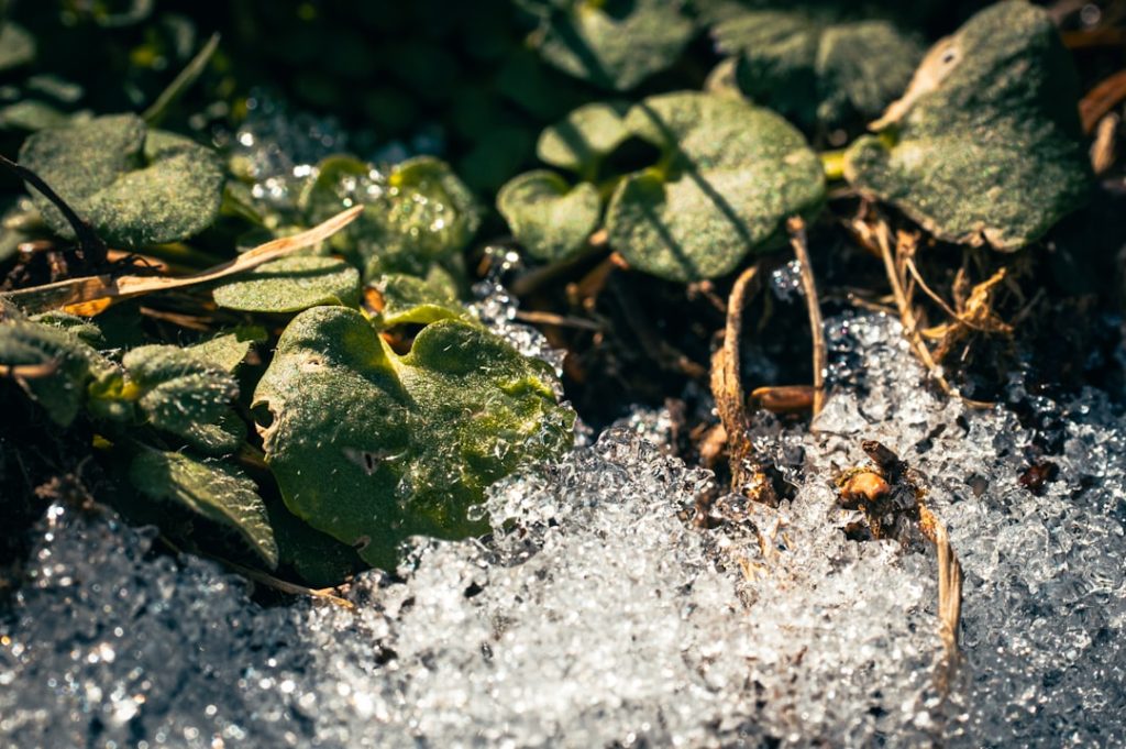 How to Generate Water Damage Leads: A Practical, Multi‑Channel Playbook