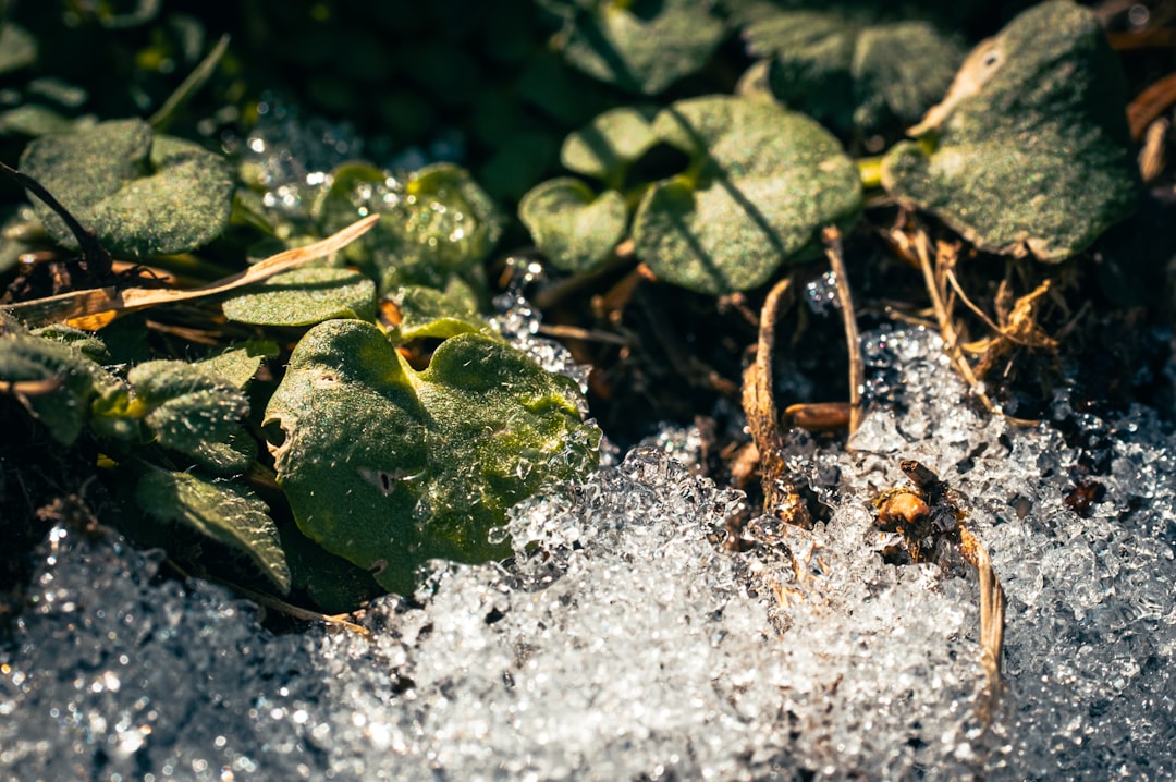 How to Generate Water Damage Leads: A Practical, Multi‑Channel Playbook